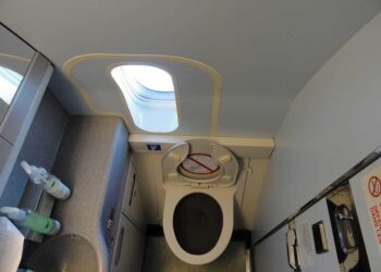 طائرة تفرغ مياه الصرف الصحي فوق حديقة بريطانية!!