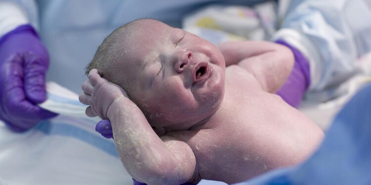 انخفاض عدد المواليد فى كندا إلى أدنى مستوى له منذ 15 عامًا وسط جائحة كورونا