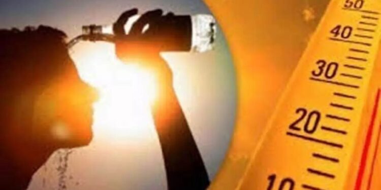 تأثير ارتفاع درجات الحرارة على الجسم
