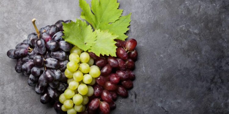 العنب الداكن أم الفاتح .. أي منهما تفضل ؟