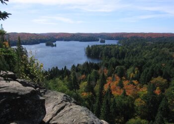 وفاة امرأة غرقا في بحيرة أونتاريو