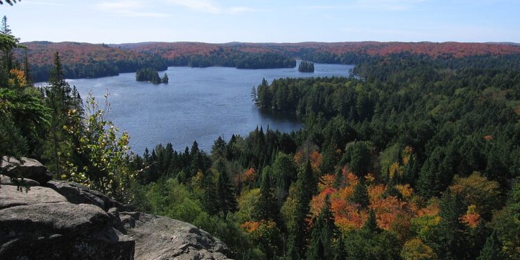 وفاة امرأة غرقا في بحيرة أونتاريو