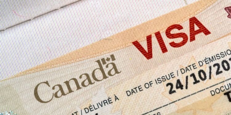 تأشيرات العمل المتأخرة تؤثر سلبًا على الأعمال الكندية