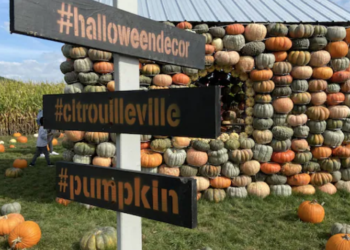 افتتاح قرية القرع الساحرة في مونتريال