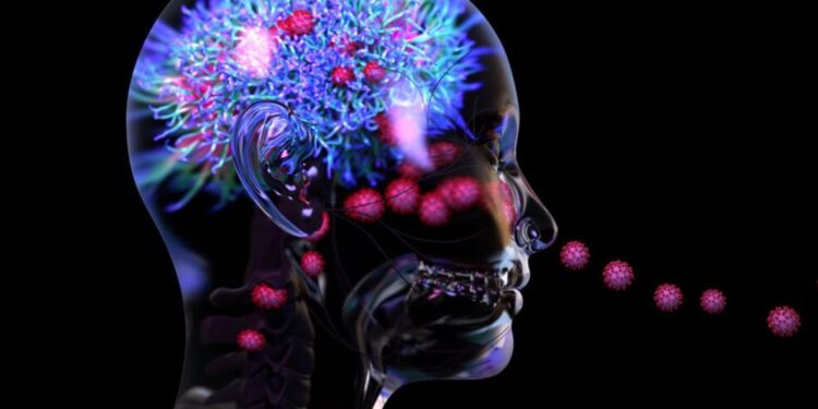 دراسة صادمة عن آثار كورونا المُدمّرة على الدماغ