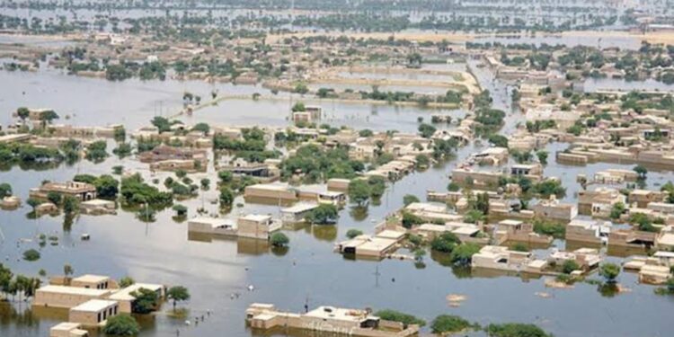 25 مليون دولار تقدمها كندا تبرعات لمساعدة باكستان