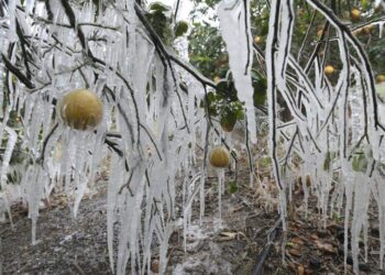 تحذير من صقيع يضرب كيبيك في الايام القادمة