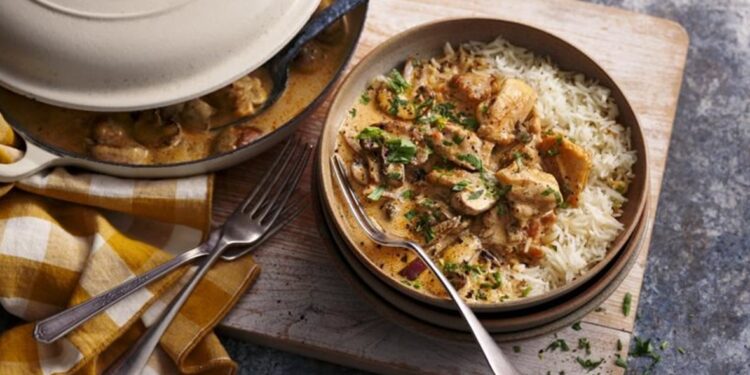 ستروغانوف الدجاج وصفة مميزة سهلة التحضير