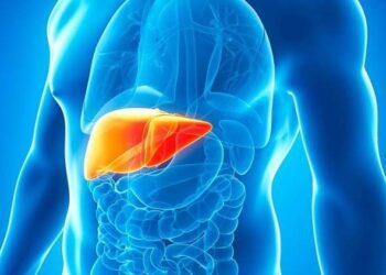 أطعمة أساسيّة للحفاظ على صحّة الكبد