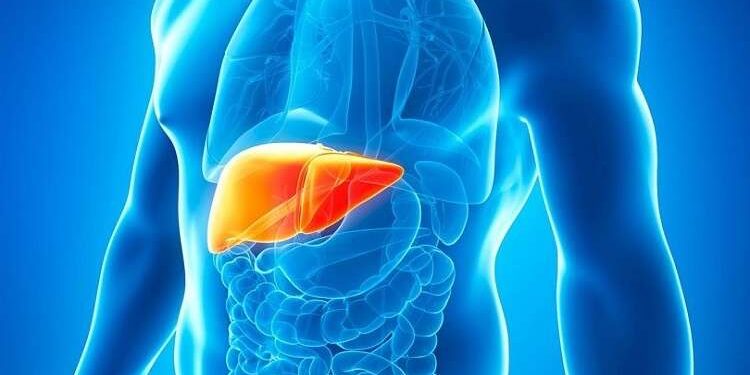 أطعمة أساسيّة للحفاظ على صحّة الكبد