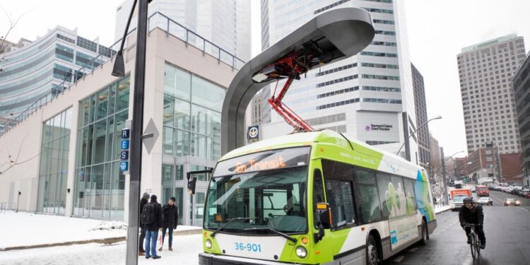 تشهد مدينة كيبيك وLévis إضراب سائقي الحافلات