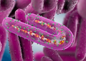 هذه حقيقة الفيروس القاتل الجديد الذي يحذر منه الصحة العالمية