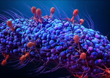 تهديد وباء جديد يترقبه العالم يعادل “السلاح النووي”