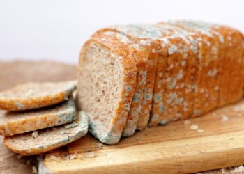 هذه مخاطر تناول الخبز المتعفن